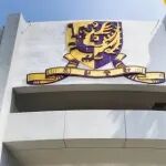 跨越時區、飛越重洋，他們為什麼就讀港中大FMBA？
